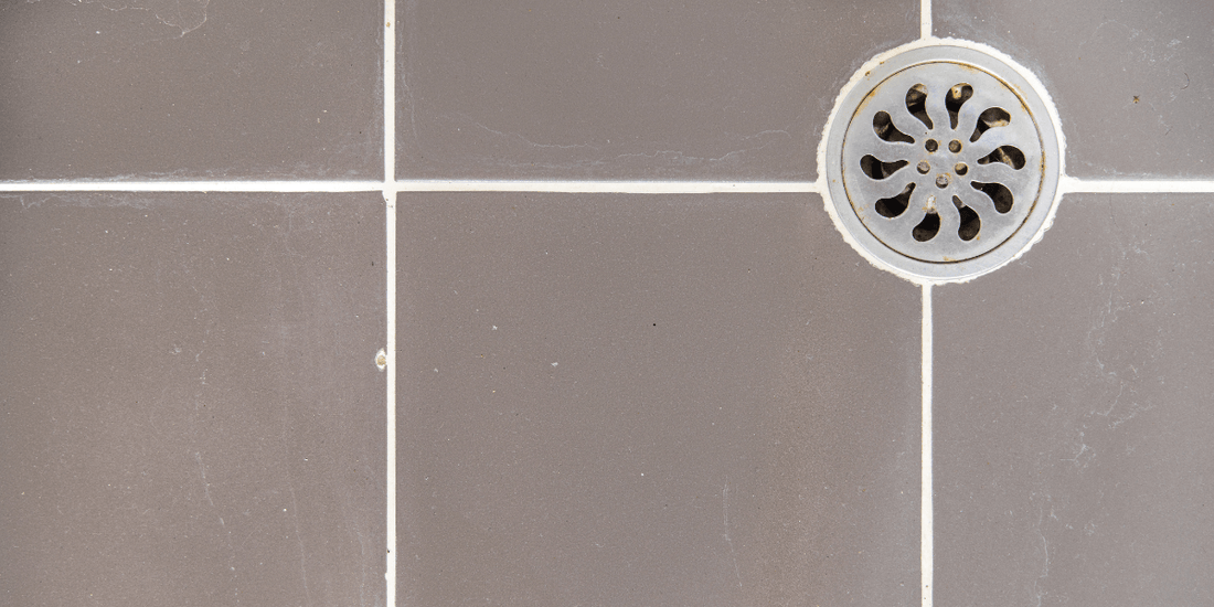 浴室去水位倒灌：為何污水倒流？5大元兇及終極解決方案