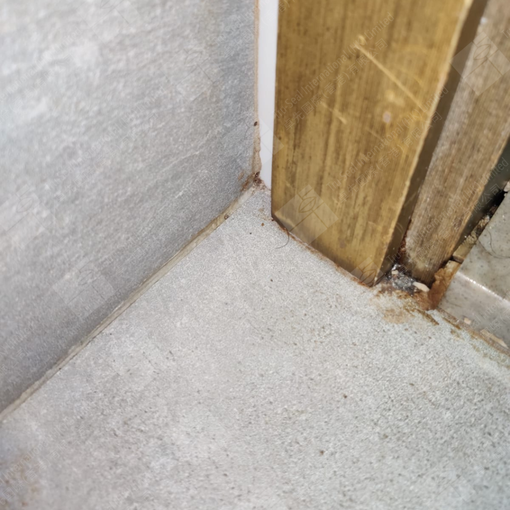 地台滲水原因大揭密：為什麼我家地板在「流汗」？這5個隱形殺手你要知！